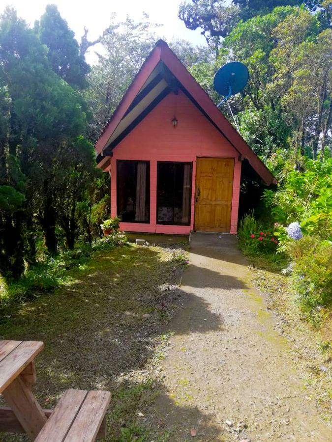 Cabanas Las Orquideas Zapotal  Kamer foto