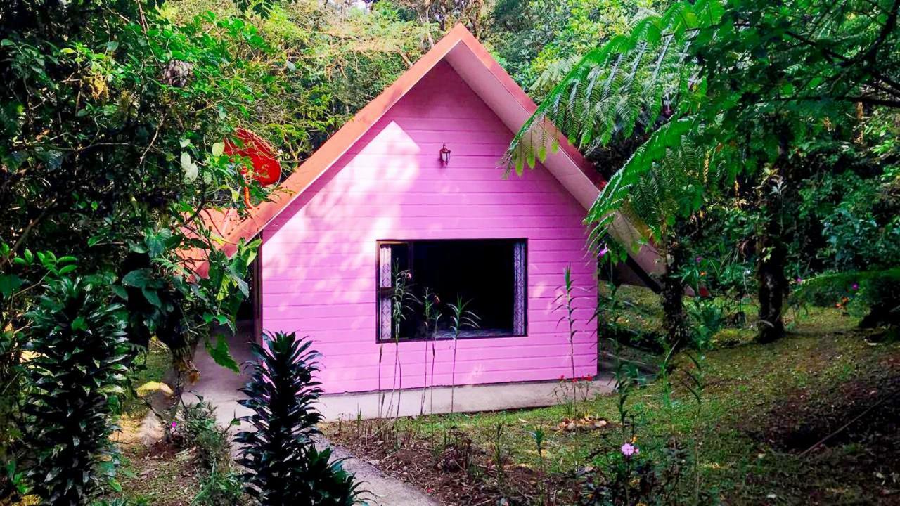 Cabanas Las Orquideas Zapotal  Kamer foto