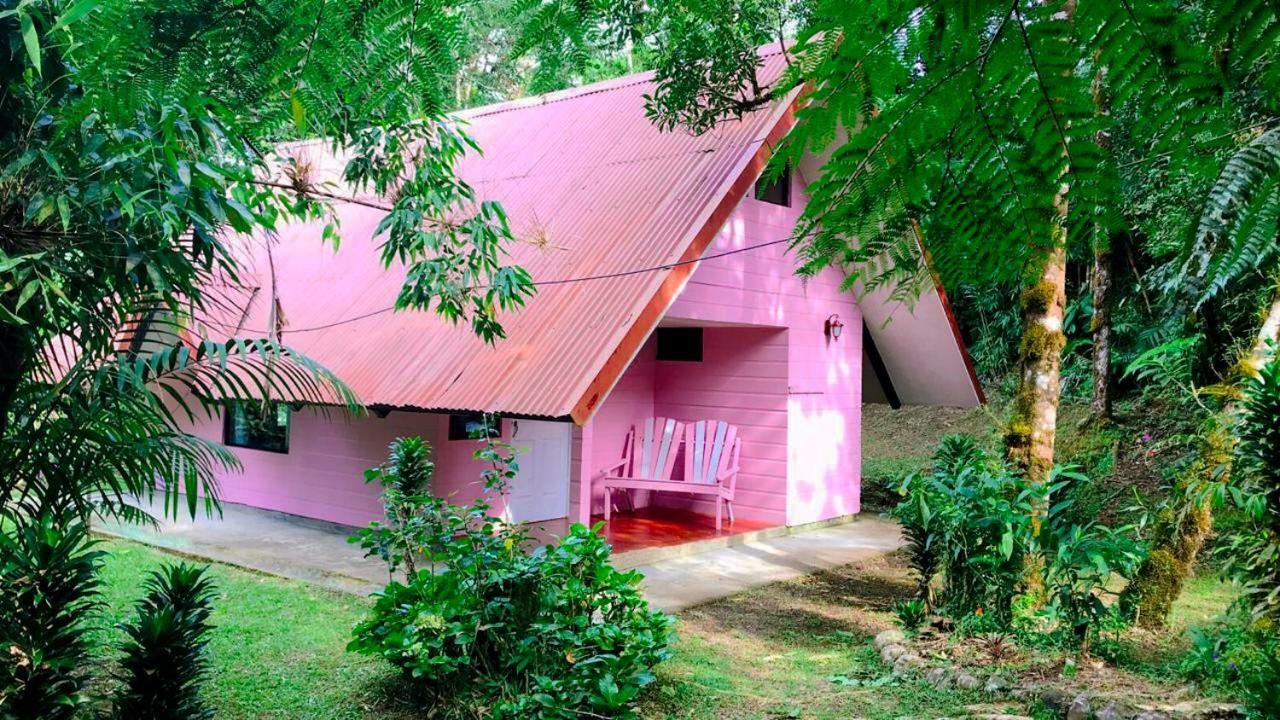 Cabanas Las Orquideas Zapotal  Kamer foto
