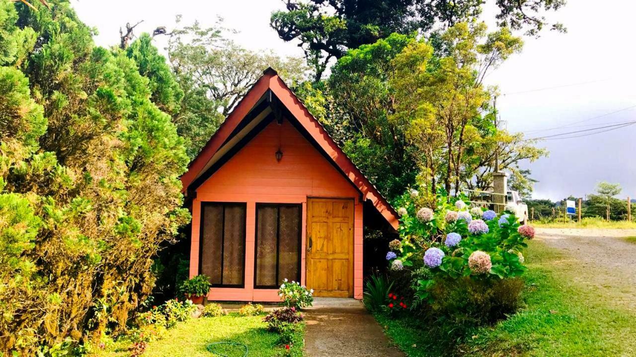 Cabanas Las Orquideas Zapotal  Kamer foto