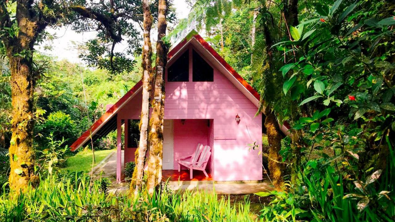 Cabanas Las Orquideas Zapotal  Buitenkant foto