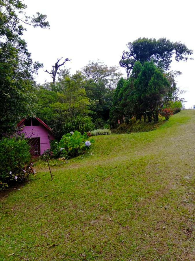 Cabanas Las Orquideas Zapotal  Buitenkant foto