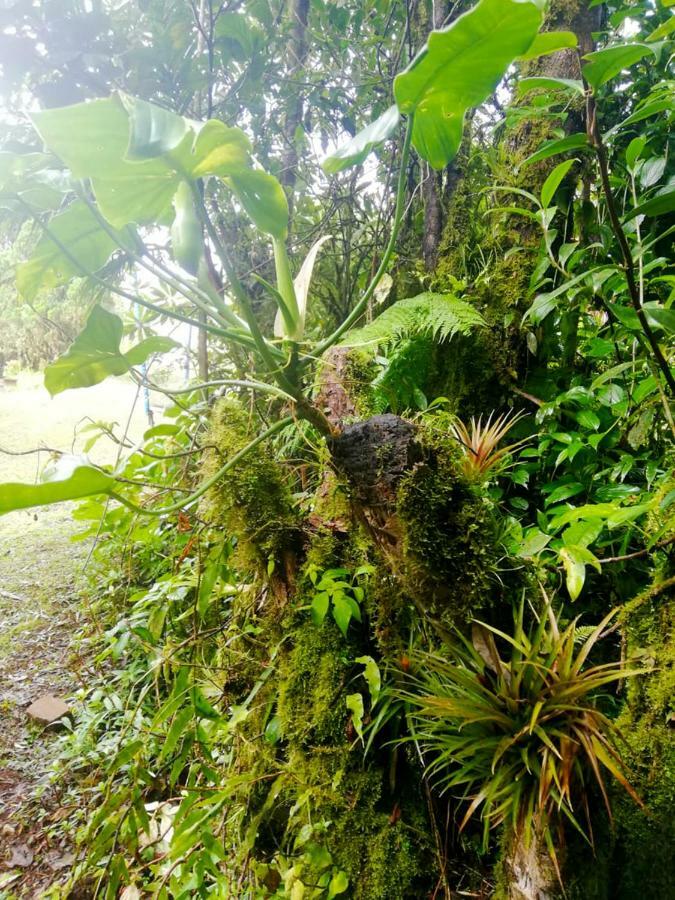 Cabanas Las Orquideas Zapotal  Buitenkant foto